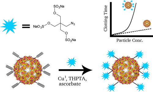 Directed Polyvalent Display of Sulfated Ligands on Virus Nanoparticles Elicits Heparin-Like Anticoagulant Activity